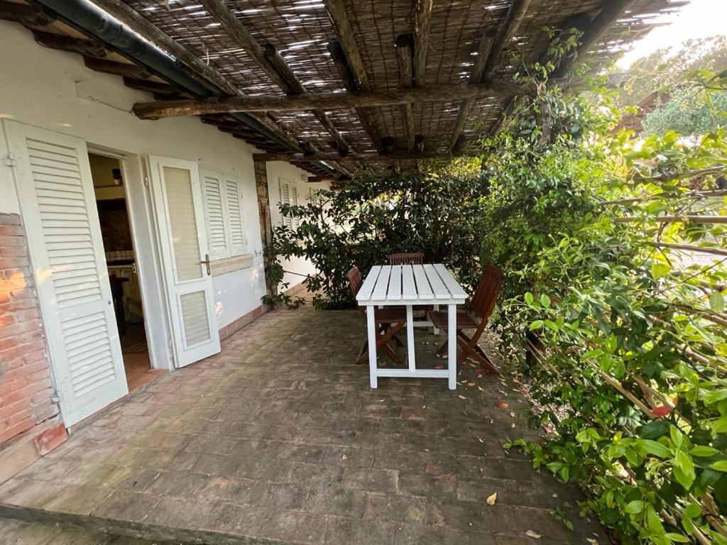 Agriturismo Baratti Kültér fotó