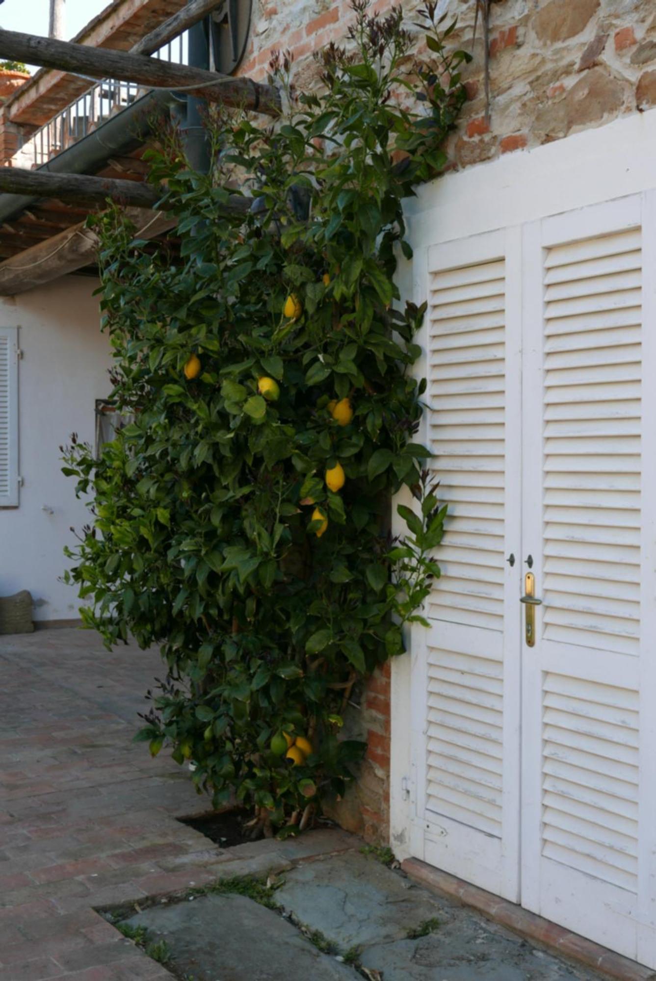 Agriturismo Baratti Kültér fotó