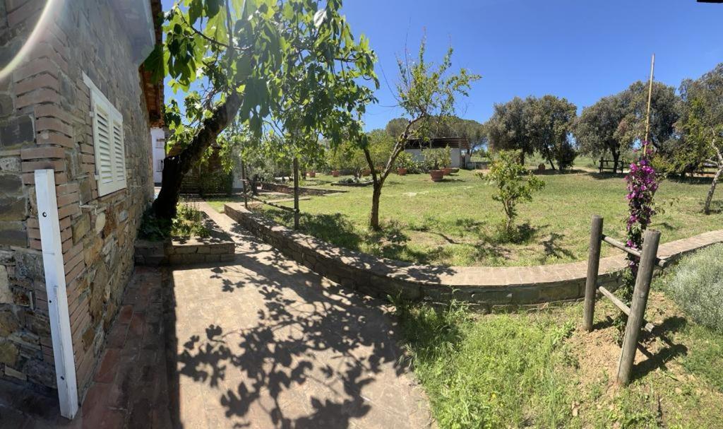 Agriturismo Baratti Kültér fotó