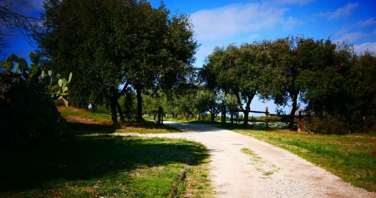 Agriturismo Baratti Kültér fotó