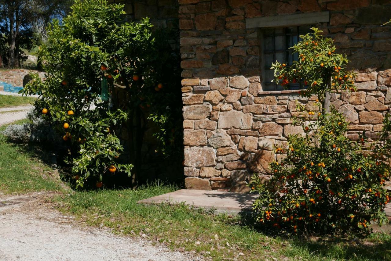 Agriturismo Baratti Kültér fotó