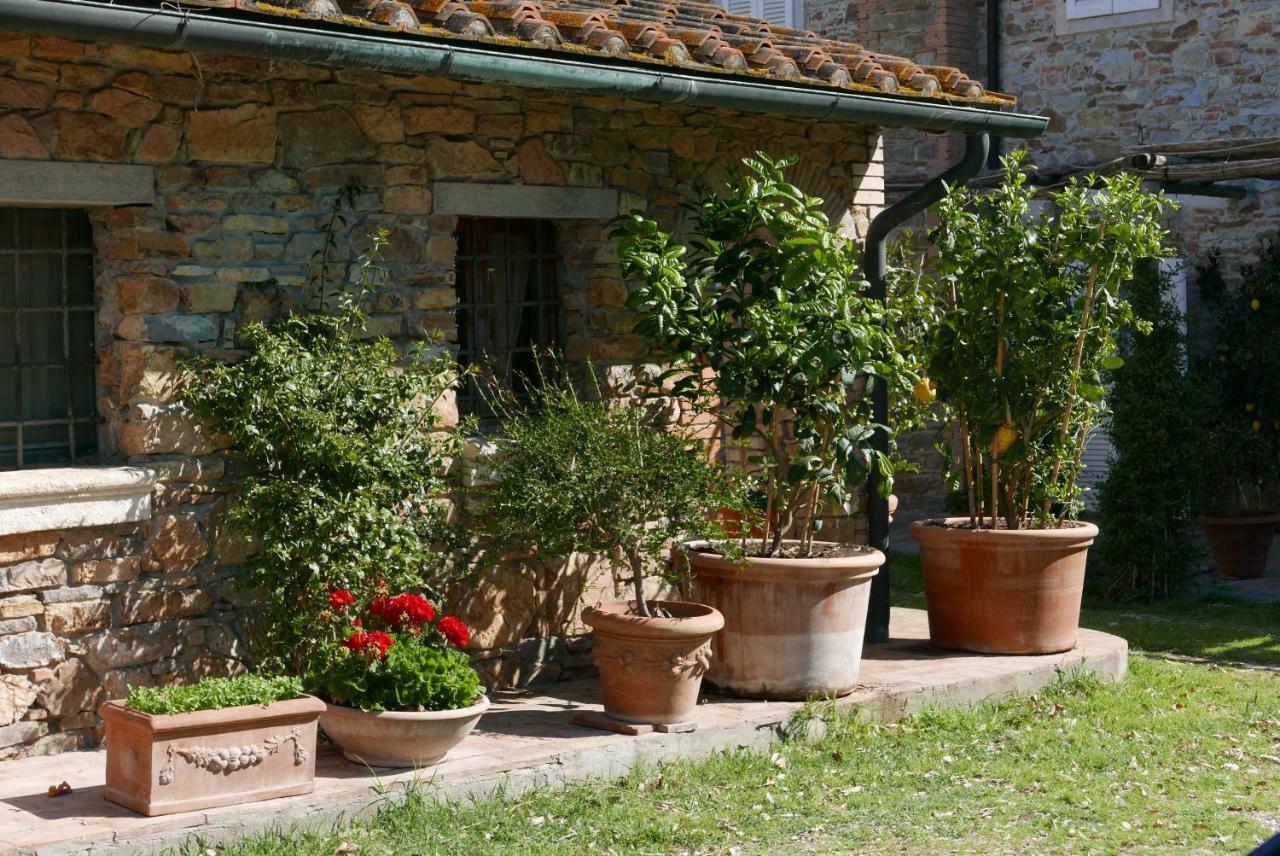 Agriturismo Baratti Kültér fotó