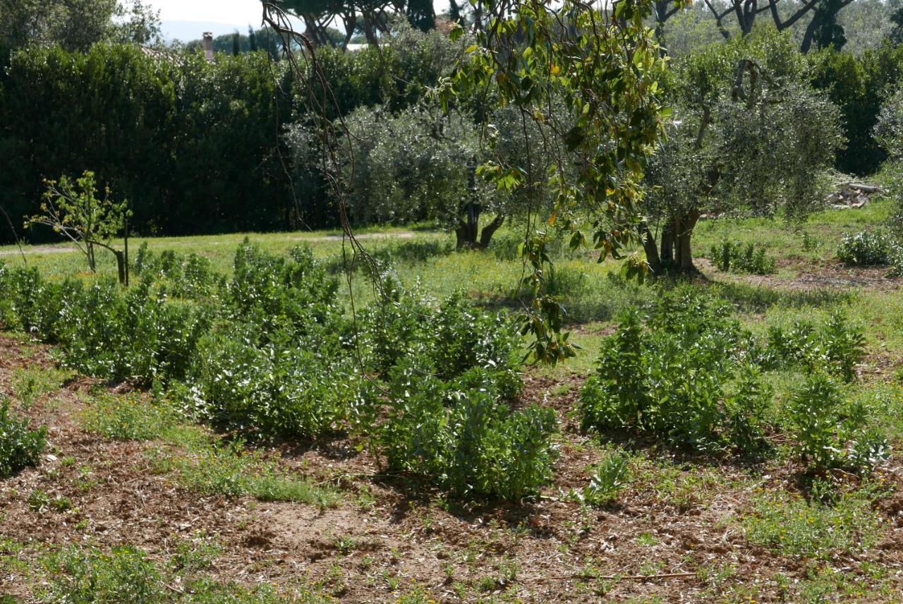 Agriturismo Baratti Kültér fotó