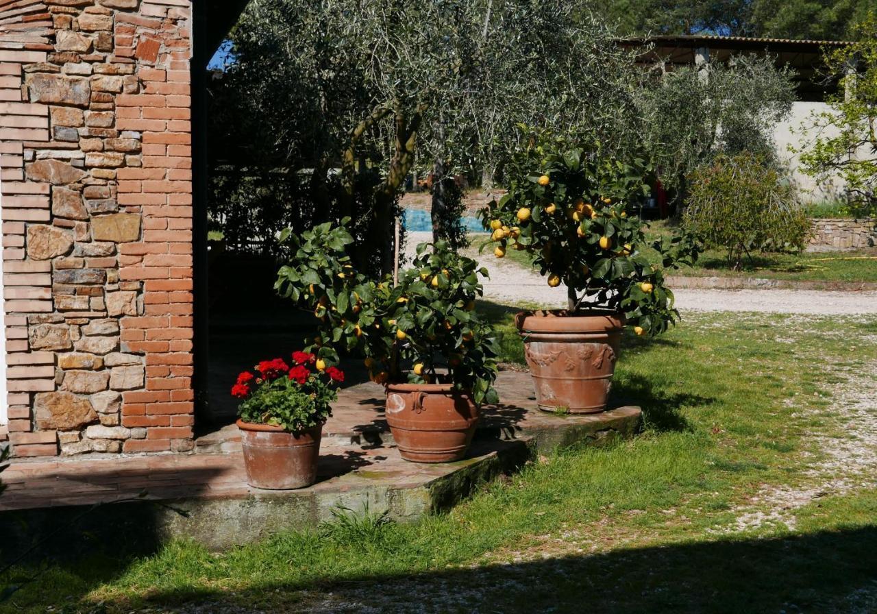 Agriturismo Baratti Kültér fotó